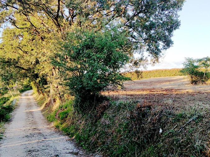 Terreno para Venda em Barrio Foto 12