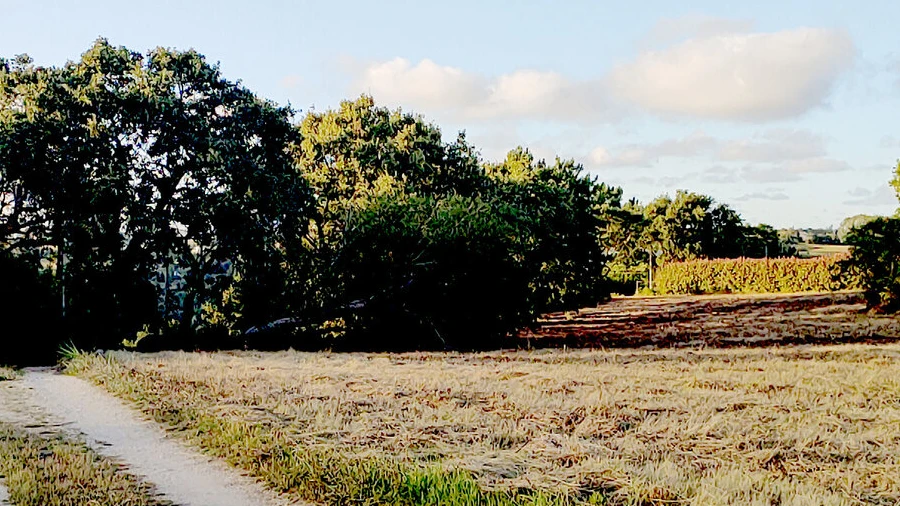 Terreno para Venda em Barrio
