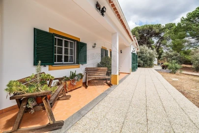 Quinta T0 para Venda em Couço