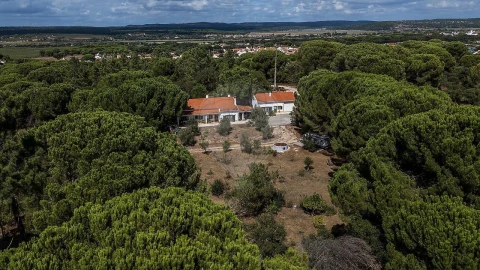 Quinta T0 para Venda em Couço