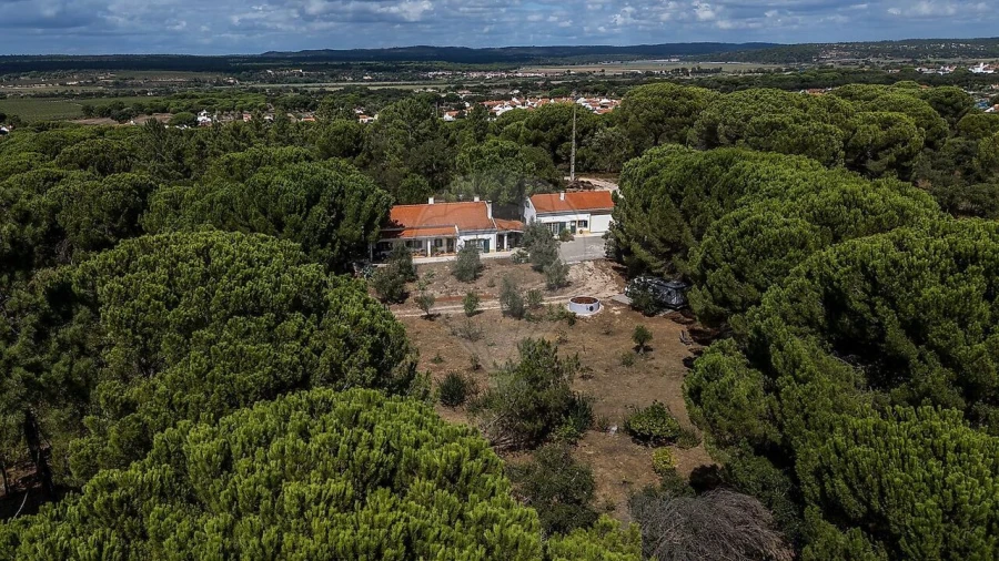 Quinta T0 para Venda em Couço Foto 37