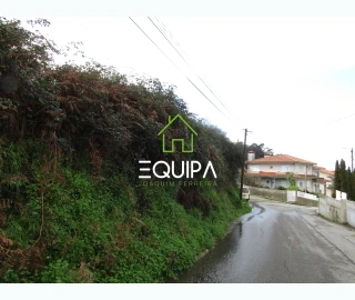 Terreno para Venda em Nogueira da Regedoura