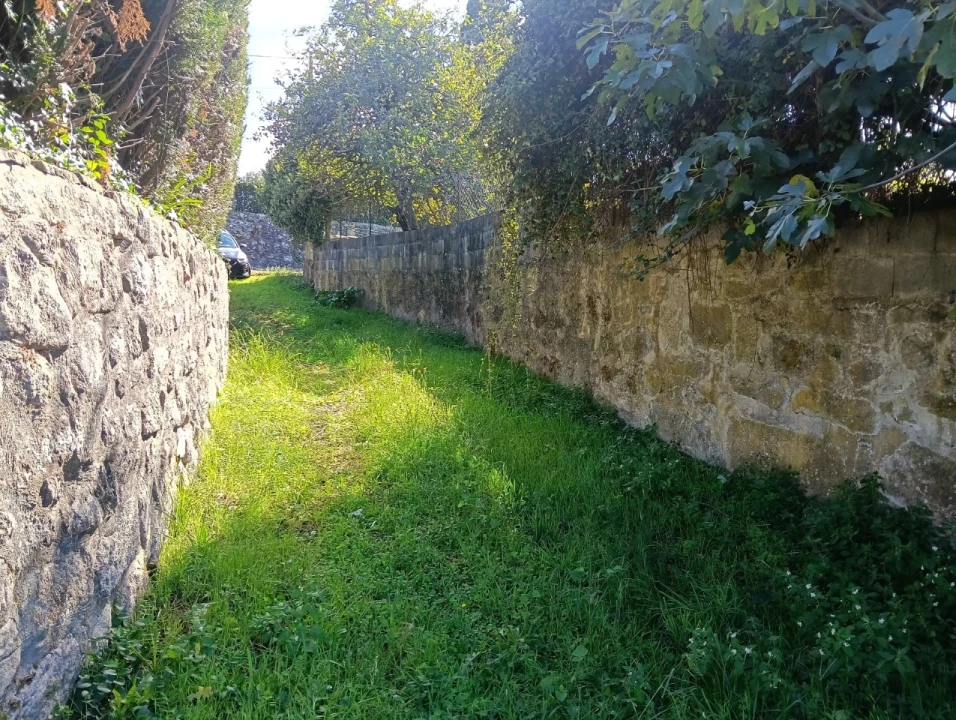 Terreno para Venda em Reboreda e Nogueira Foto 2