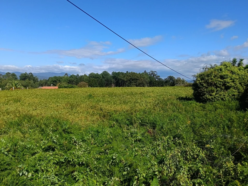 Terreno para Venda em Reboreda e Nogueira Foto 4