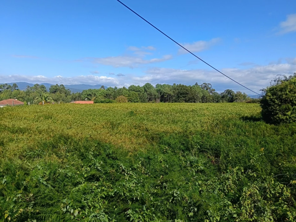Terreno para Venda em Reboreda e Nogueira Foto 7