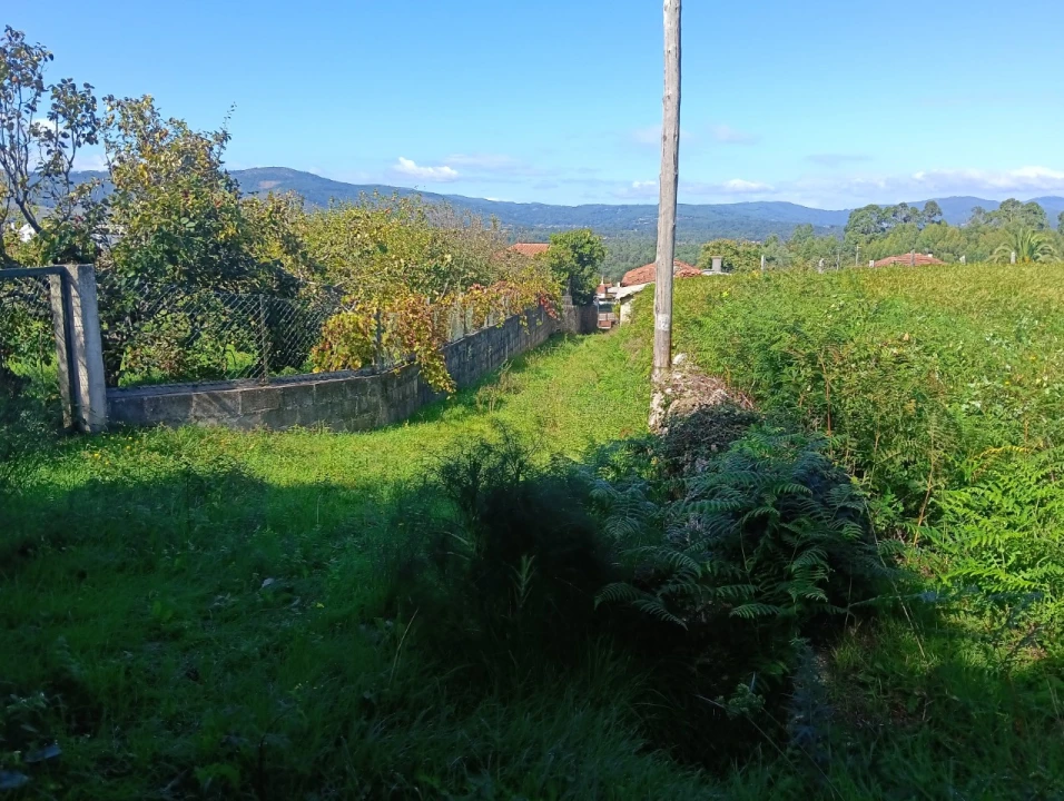 Terreno para Venda em Reboreda e Nogueira Foto 8