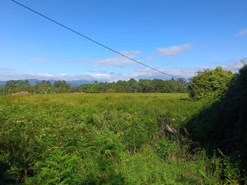 Terreno para Venda em Reboreda e Nogueira