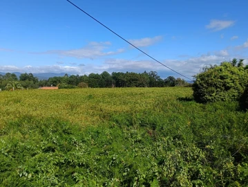 Terreno para Venda em Reboreda e Nogueira
