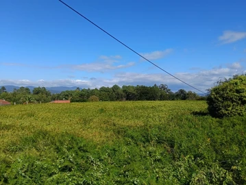 Terreno para Venda em Reboreda e Nogueira