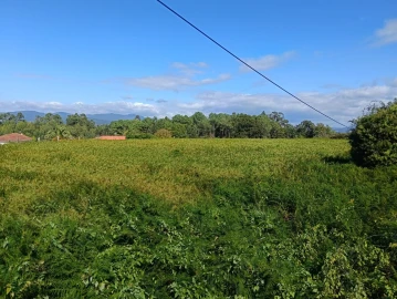 Terreno para Venda em Reboreda e Nogueira