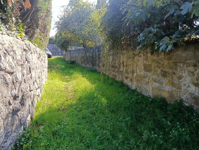 Terreno para Venda em Reboreda e Nogueira Foto 2
