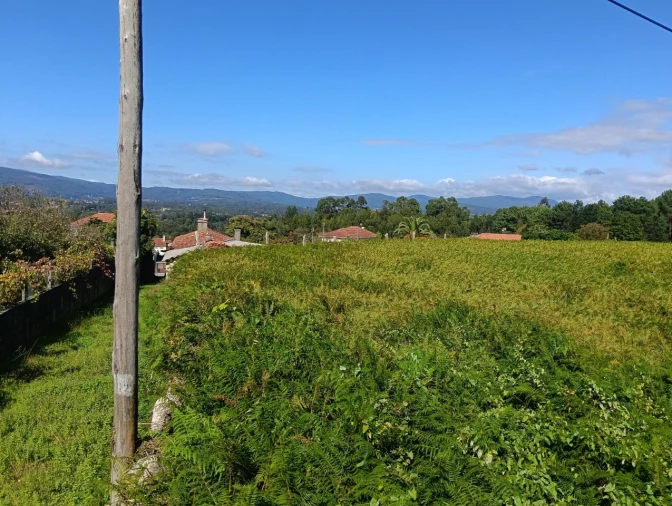 Terreno para Venda em Reboreda e Nogueira Foto 5