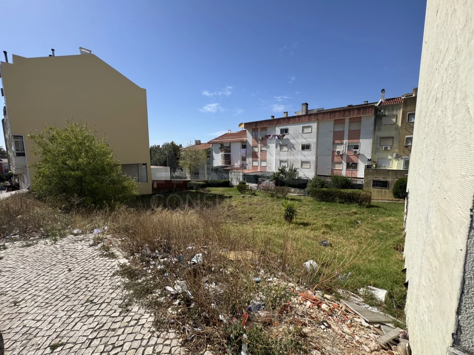 Terreno para Venda em Encosta do Sol Foto 11