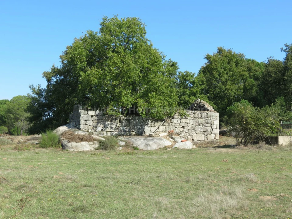 Quinta T0 para Venda em Paranhos Foto 1
