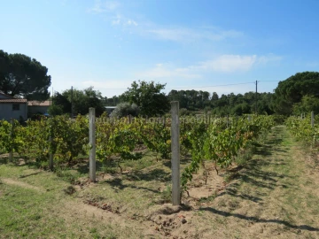 Quinta T0 para Venda em Paranhos