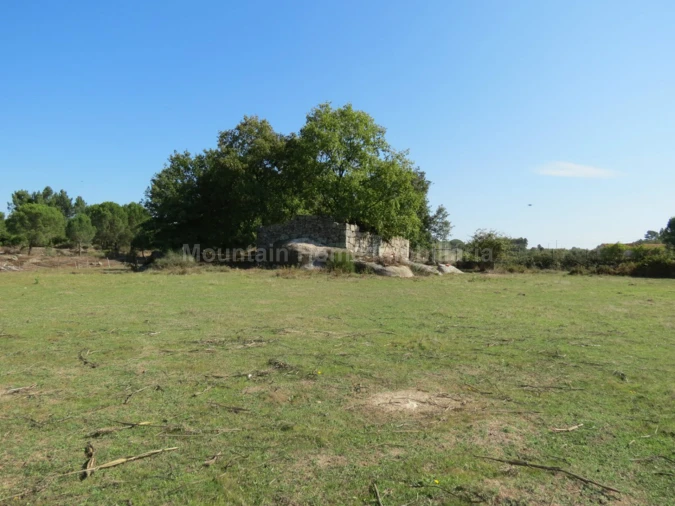 Quinta T0 para Venda em Paranhos Foto 5
