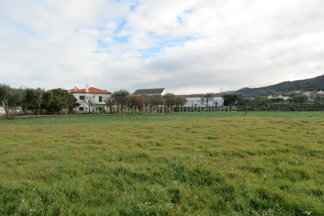Terreno para Venda em Santa Marinha e São Martinho Foto 1