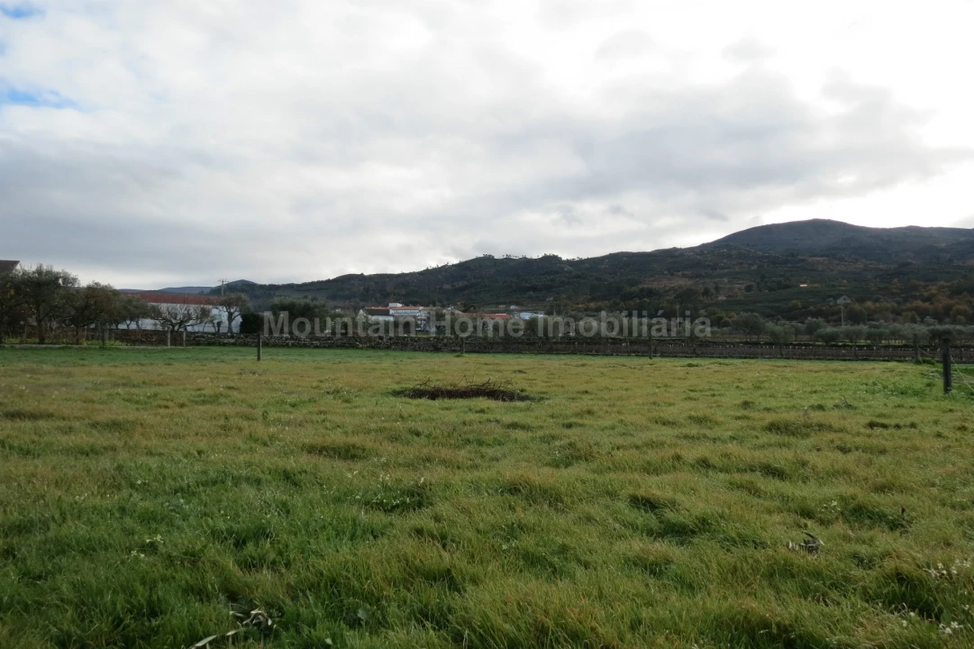 Terreno para Venda em Santa Marinha e São Martinho Foto 2