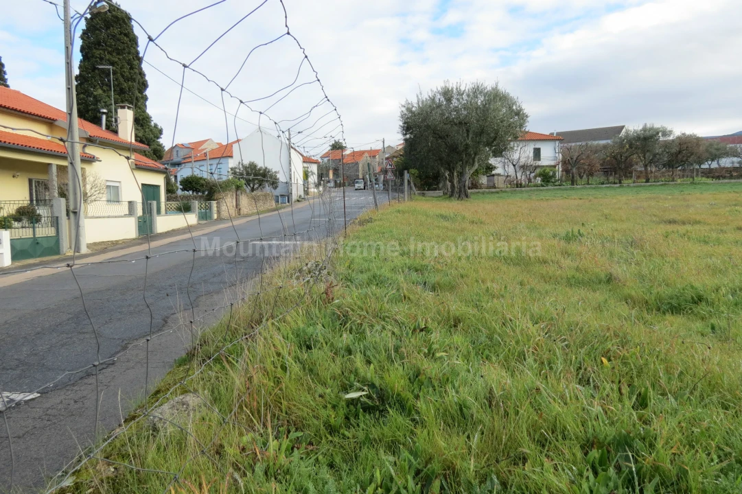Terreno para Venda em Santa Marinha e São Martinho Foto 3