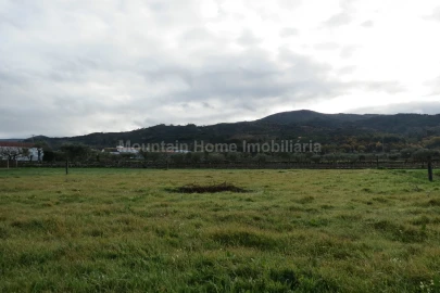 Terreno para Venda em Santa Marinha e São Martinho