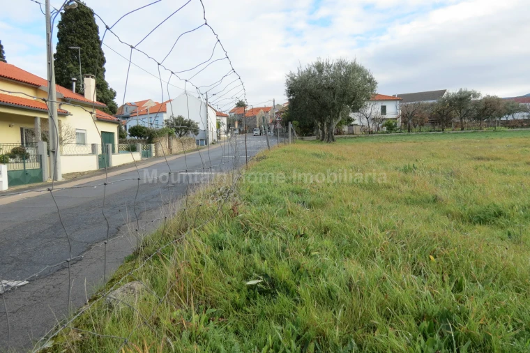 Terreno para Venda em Santa Marinha e São Martinho Foto 3