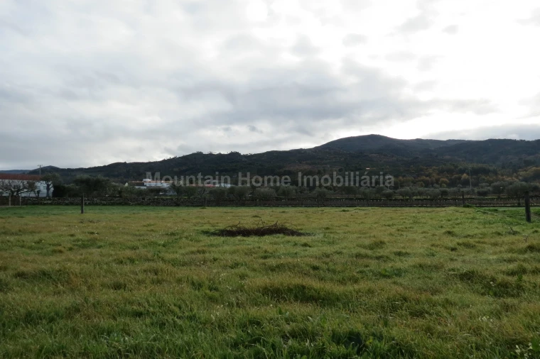 Terreno para Venda em Santa Marinha e São Martinho Foto 4
