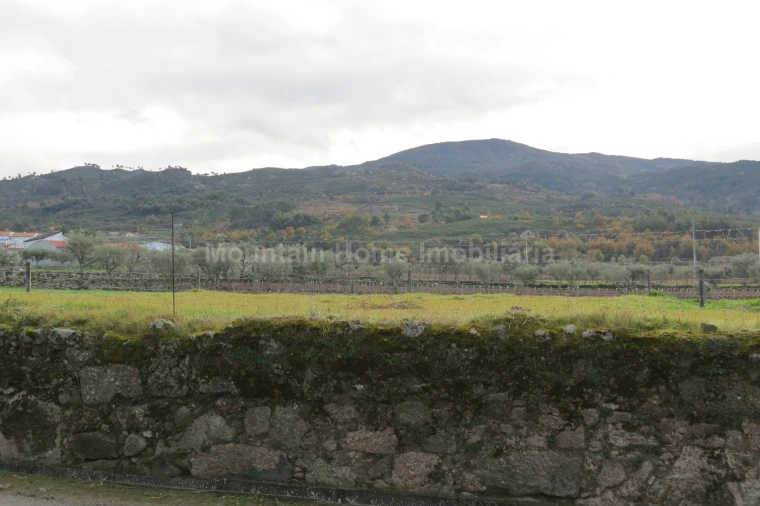 Terreno para Venda em Santa Marinha e São Martinho Foto 5