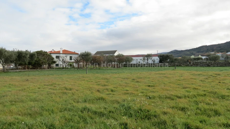 Terreno para Venda em Santa Marinha e São Martinho