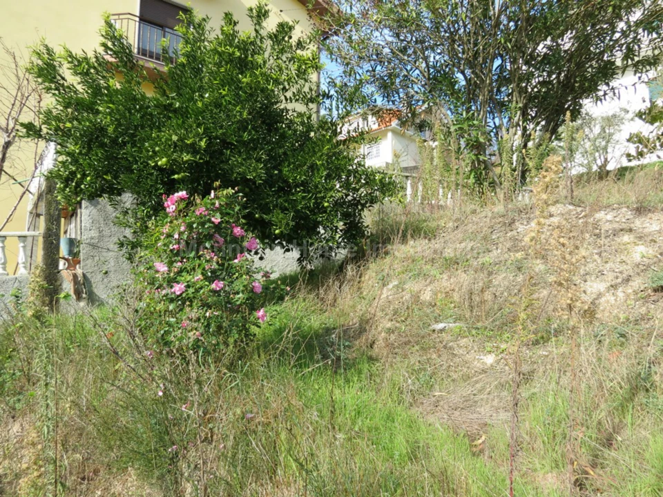 Terreno para Venda em São Gião Foto 4