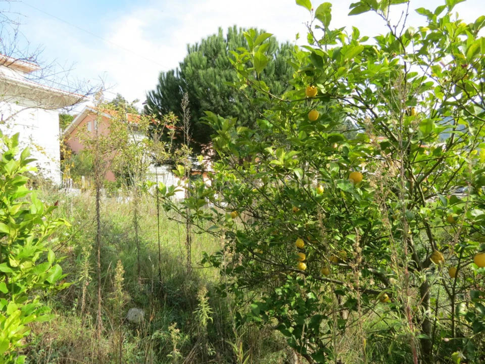 Terreno para Venda em São Gião Foto 5