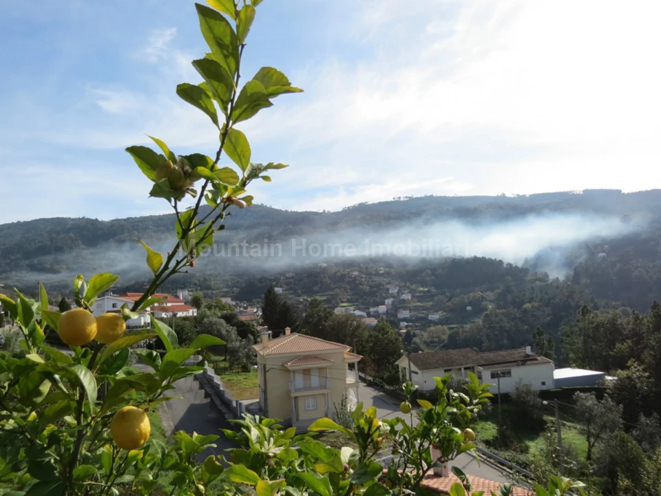 Terreno para Venda em São Gião Foto 7