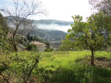 Terreno para Venda em São Gião