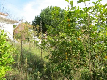 Terreno para Venda em São Gião