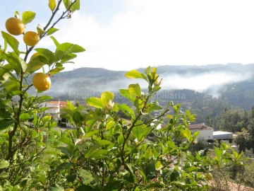 Terreno para Venda em São Gião