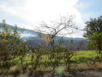 Terreno para Venda em São Gião