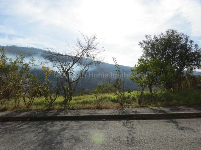 Terreno para Venda em São Gião Foto 2