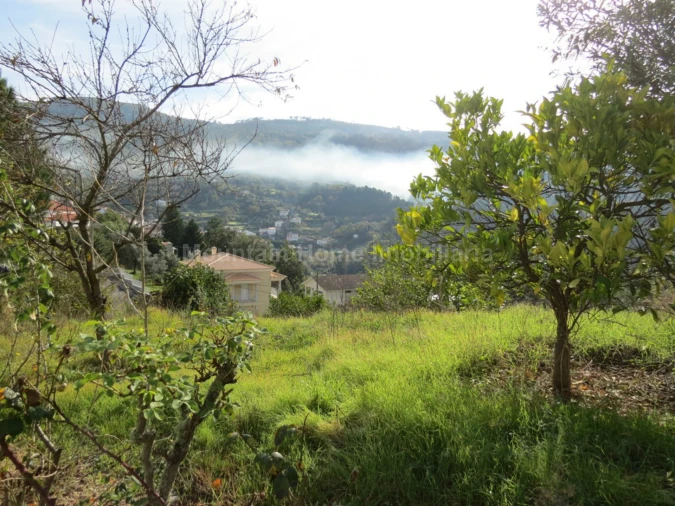 Terreno para Venda em São Gião Foto 3