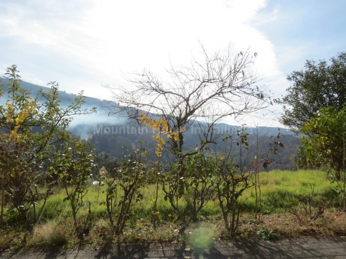 Terreno para Venda em São Gião Foto 9