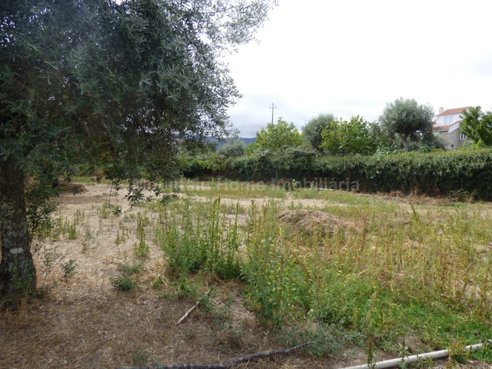 Terreno para Venda em Rio Torto e Lagarinhos Foto 5