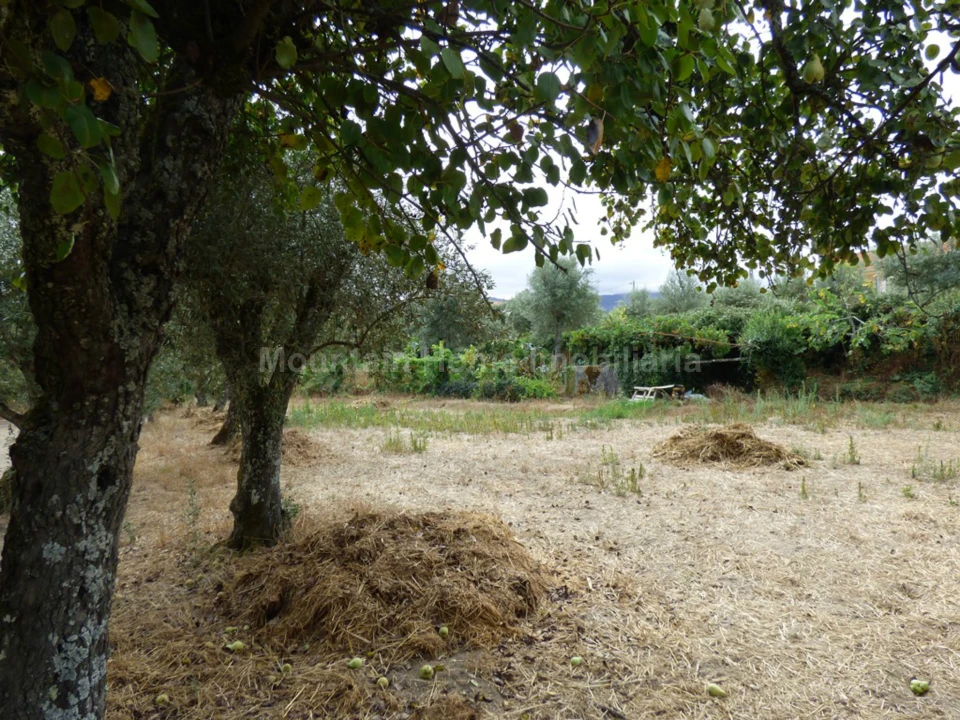 Terreno para Venda em Rio Torto e Lagarinhos Foto 6