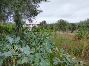 Terreno para Venda em Rio Torto e Lagarinhos
