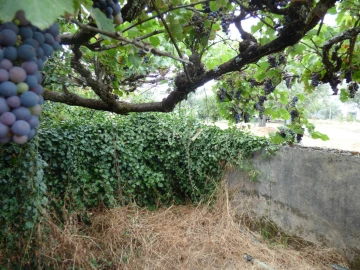 Terreno para Venda em Rio Torto e Lagarinhos