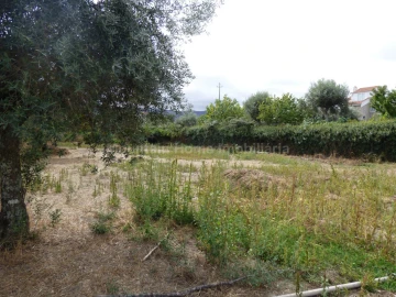 Terreno para Venda em Rio Torto e Lagarinhos