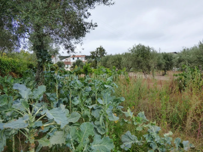 Terreno para Venda em Rio Torto e Lagarinhos Foto 2