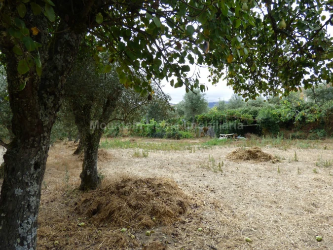 Terreno para Venda em Rio Torto e Lagarinhos Foto 6