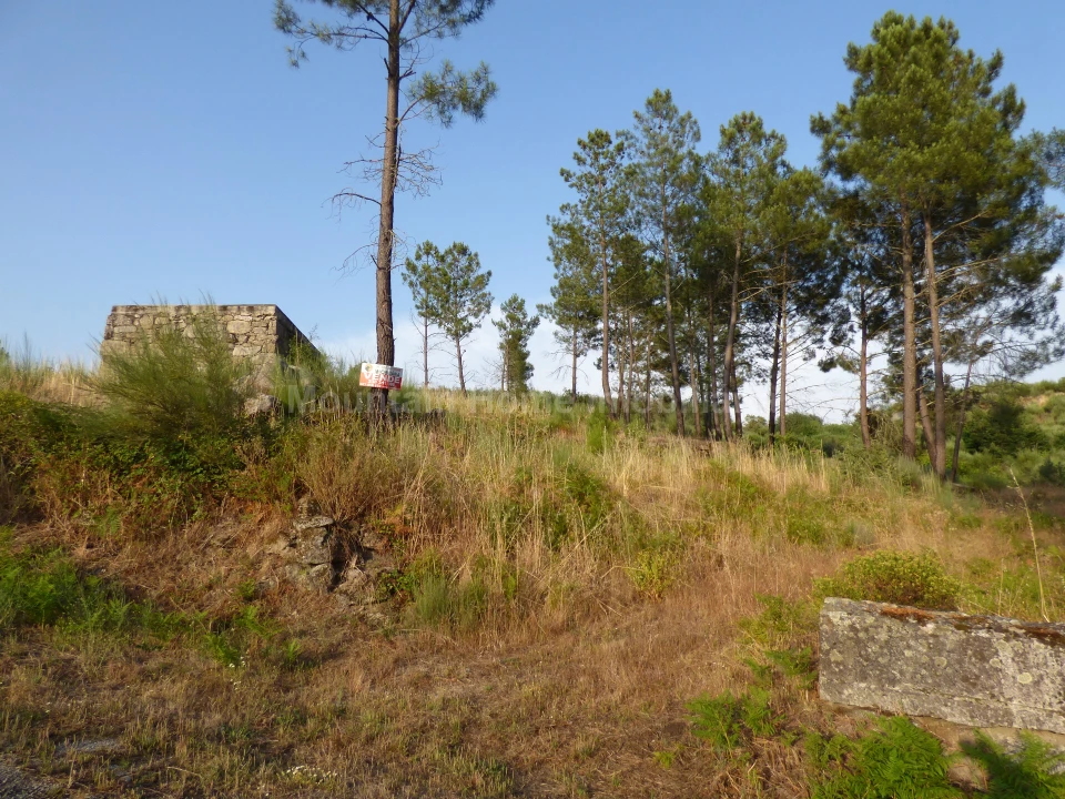 Quinta T0 para Venda em Ribamondego Foto 4