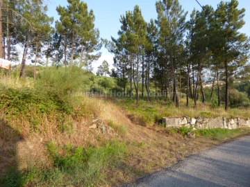 Quinta T0 para Venda em Ribamondego