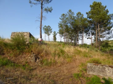 Quinta T0 para Venda em Ribamondego