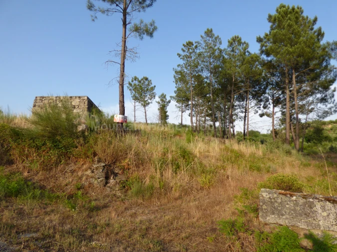 Quinta T0 para Venda em Ribamondego Foto 4