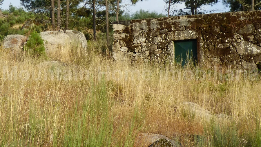 Quinta T0 para Venda em Ribamondego